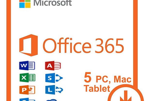 Office 365 Lisans
