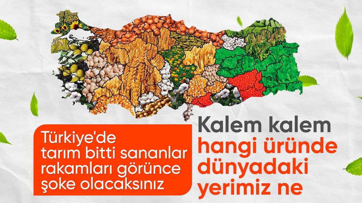 Türkiye’nin tarım ve hayvancılık alanında üretim ve ihracat sıralaması