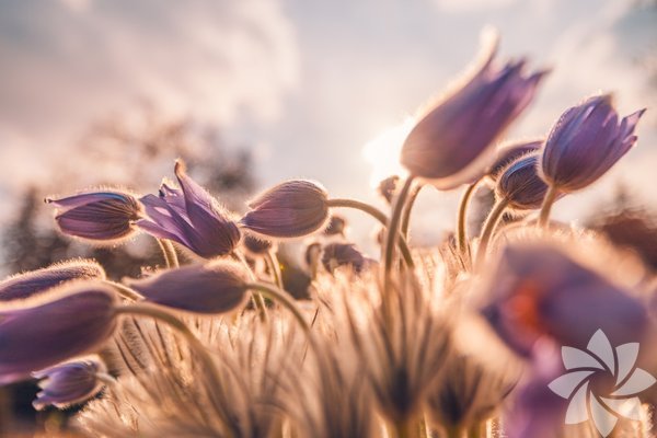 Kendinizi iyi hissetmek için 5 öneri